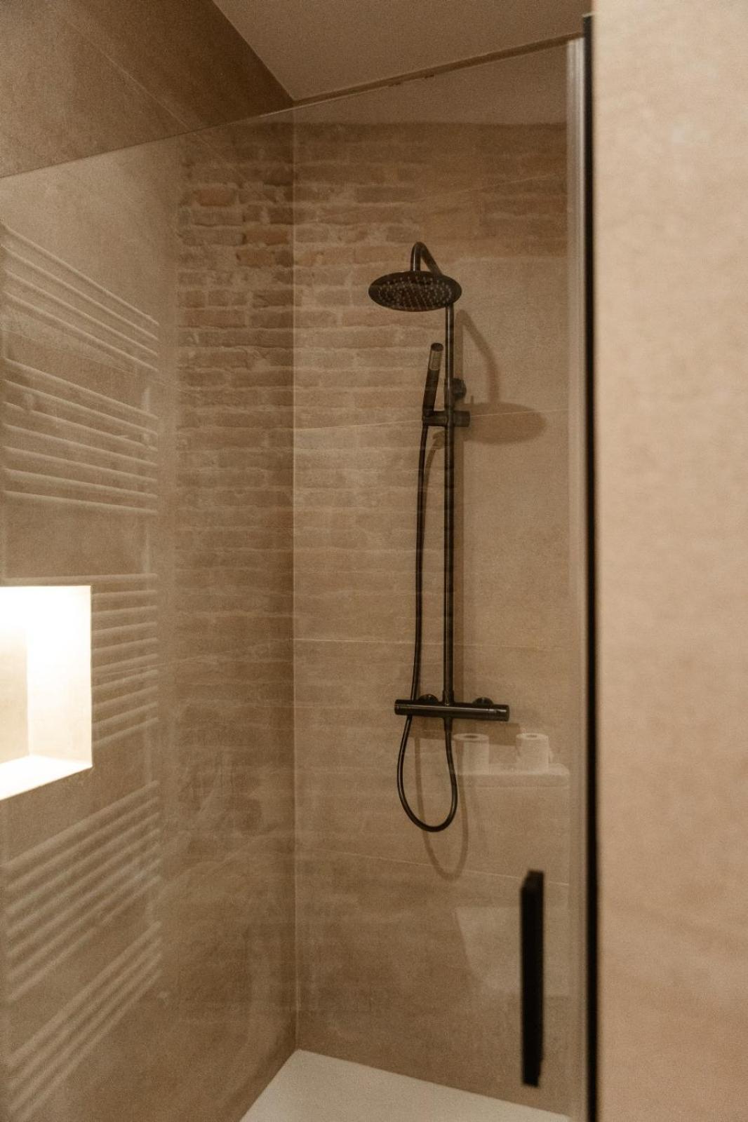 Albany Ancha Hotel Леон Екстериор снимка A shower rail